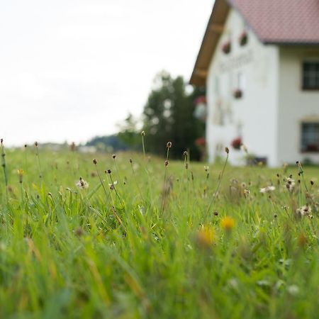 Отель Pension Waldesruh Санкт-Освальд Экстерьер фото