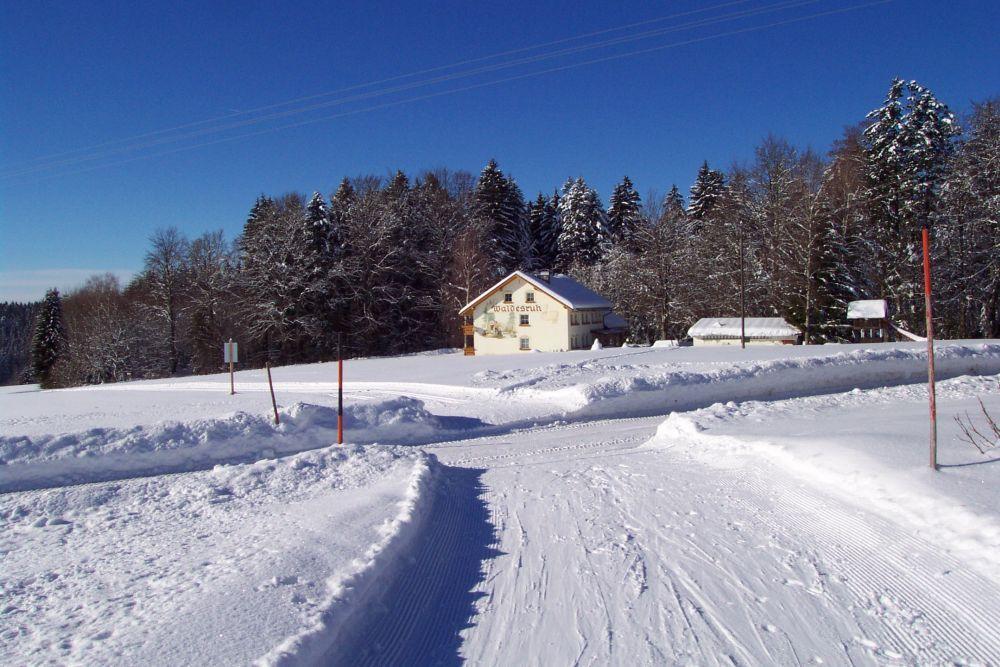 Отель Pension Waldesruh Санкт-Освальд Экстерьер фото